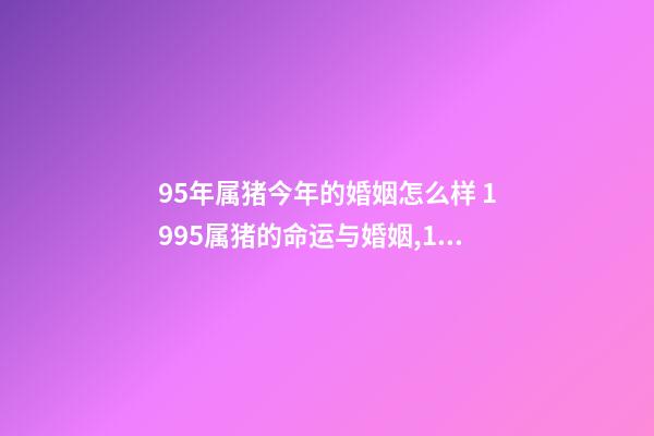 95年属猪今年的婚姻怎么样 1995属猪的命运与婚姻,1995年属猪的命运如何-第1张-观点-玄机派